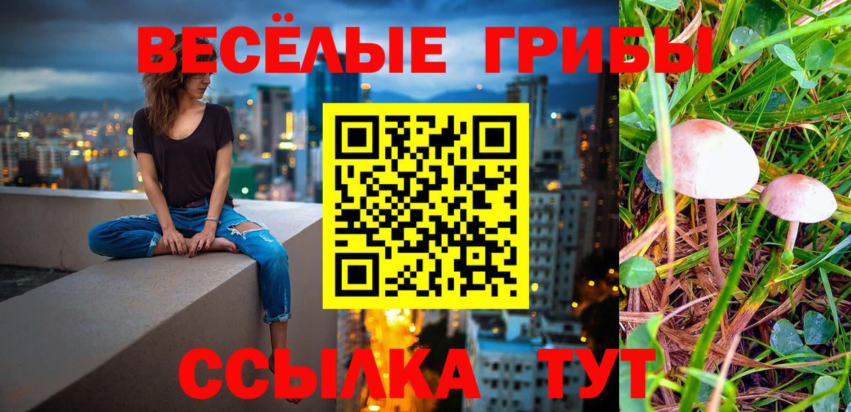 Обь  Псилоцибиновые грибы Psilocybine cubensis  Галлюциногенные грибы Cubensis  хочу   Вход с VPN 