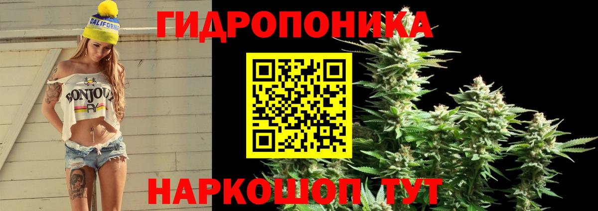 Конопля планчик Обь